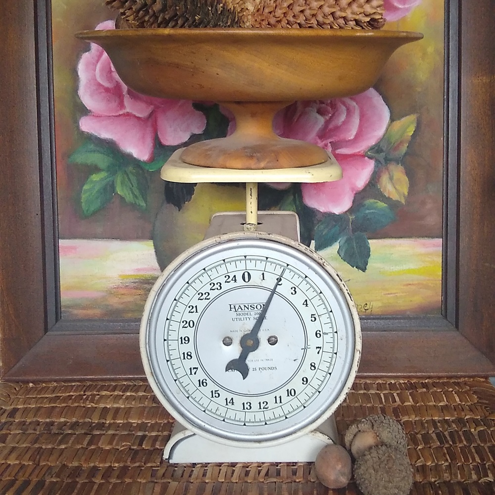 Vintage Hanson utility scale farmhouse ranch cottage kitchen decor